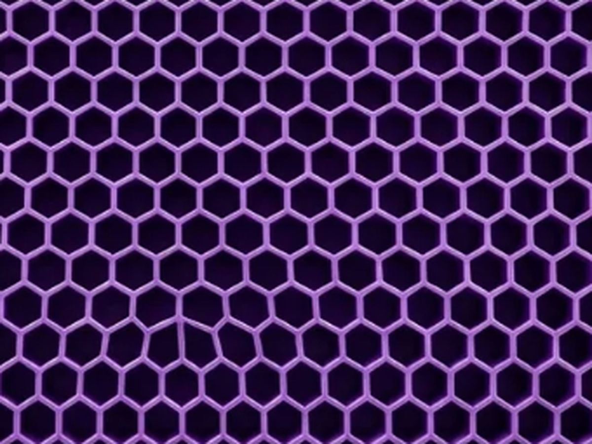 Honeycomb cell close-up