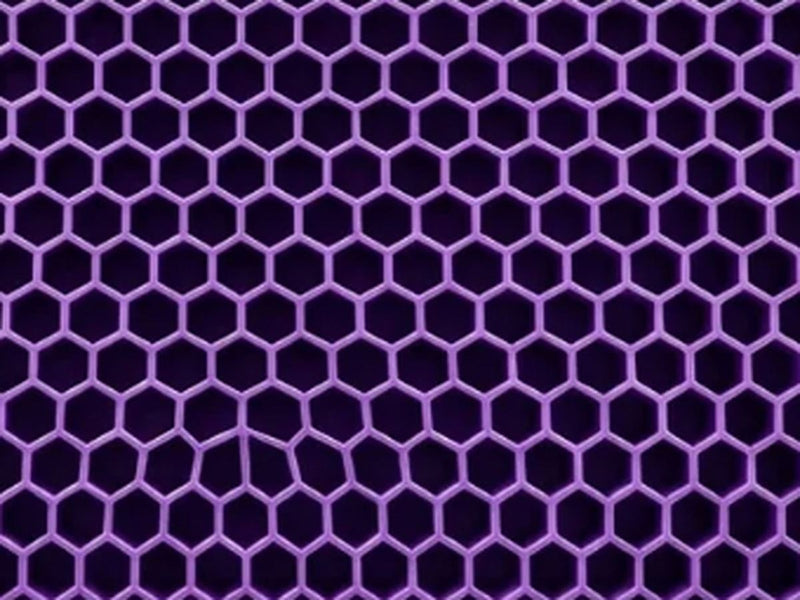 Inside the honeycomb